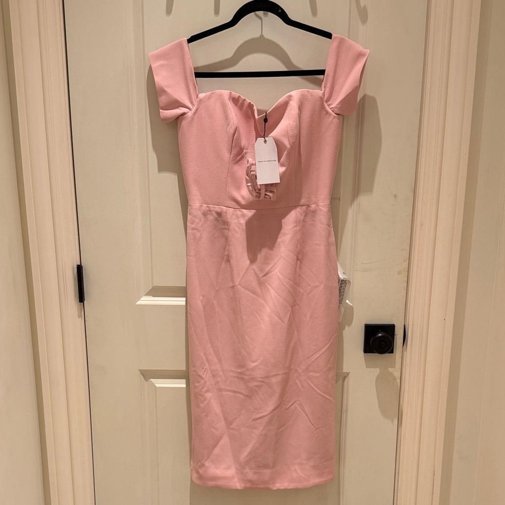 Dress the Population Pink Dress
